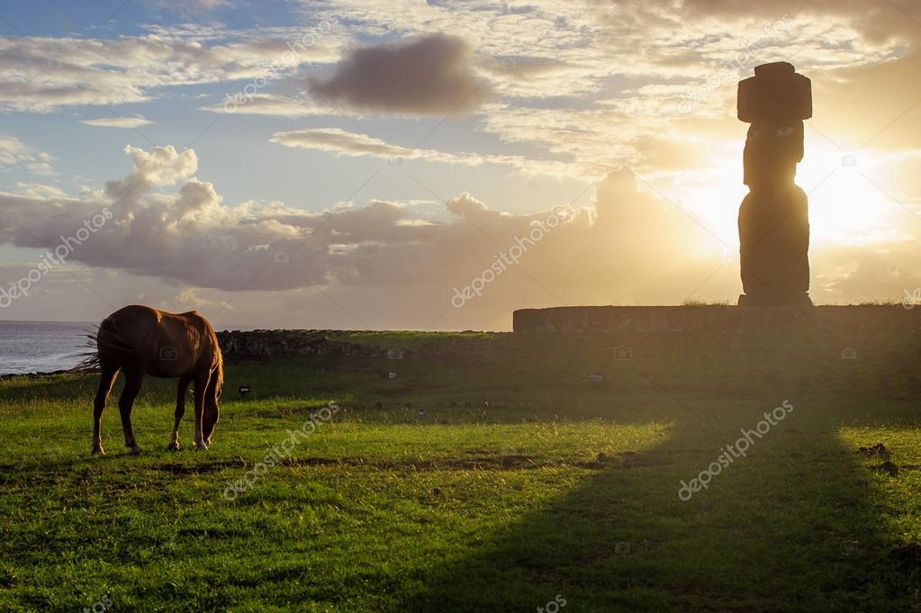 イスラ デ パスクアの馬 ラパ ヌイ イースター島 ダウン ストック写真 C Vladimirkrupenkin