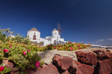 Santorini Adası. Yunanistan. Oia. Beyaz kil, beyaz binalar.