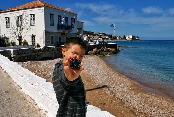 Boy and urchin — Stock Photo, Image