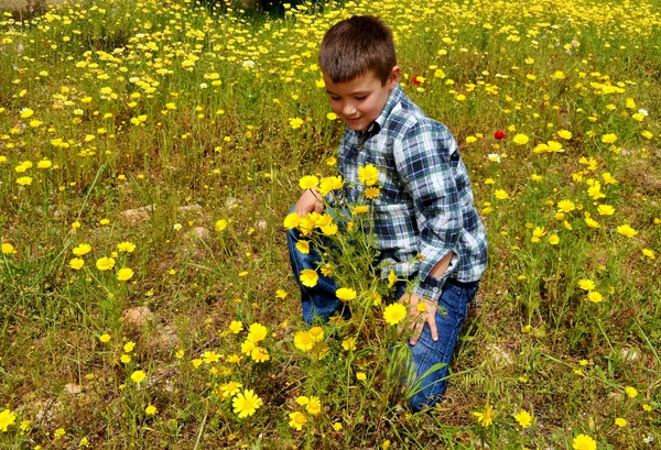 Na jaře kid — Stock fotografie