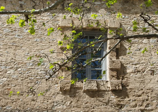 Вікно в стародавній кам'яній стіні — стокове фото