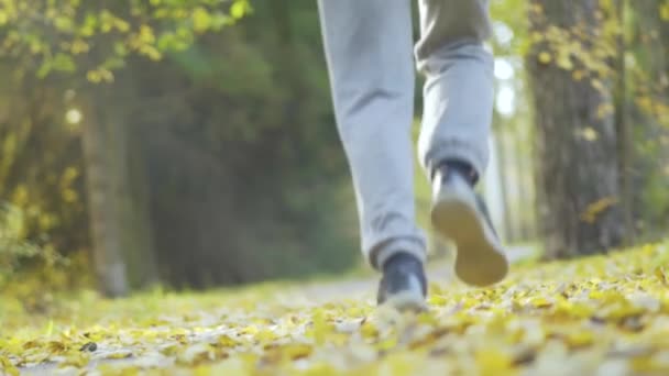 Mladý muž běží v podzimním parku. Pohled zezadu na sportovce. — Stock video