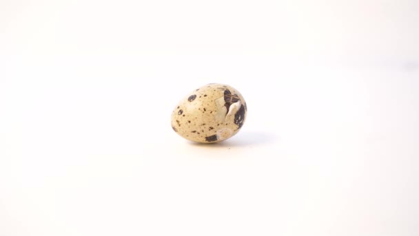 Nyfödd vaktel ägg på vit bakgrund. Chick kläcker ägget. Födelsen av ett nytt litet liv — Stockvideo