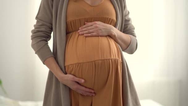 Mulher grávida bonito segura as mãos em sua barriga. Conceito de uma gravidez feliz. 9 meses de espera. — Vídeo de Stock
