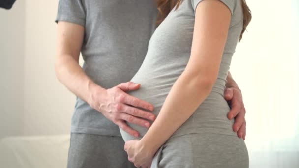 妊娠中の女性と夫が手を携えている。家族は赤ちゃんを期待して満足している. — ストック動画