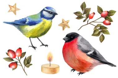 Kuşlar, böğürtlenler, mum ve altın yıldızlı suluboya Noel çizimleri. Noel süslemesi.