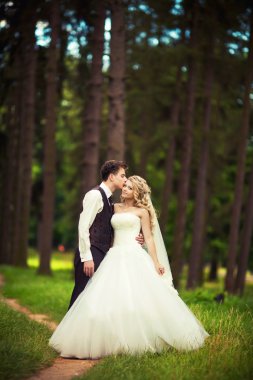 Genç gelin ve damat Park'ta poz