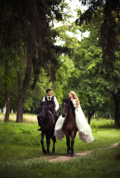 Novio con la novia y un caballo marrón —  Fotos de Stock