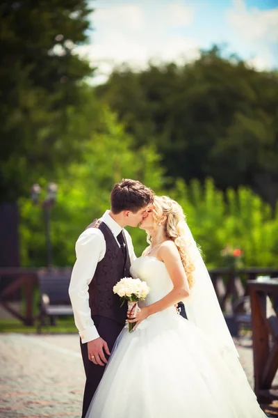 Wedding couple hugging — Stock Photo, Image