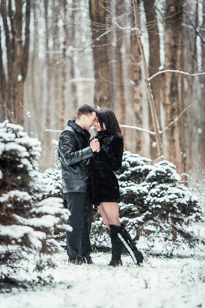 Par i kärlek kyssas i skogen vinter — Stockfoto