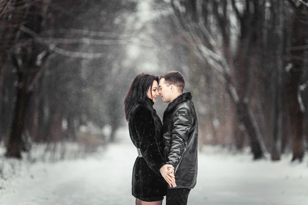 Pareja enamorada besándose en el bosque de invierno — Foto de Stock