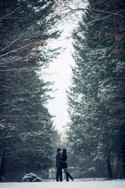 Par i kärlek kyssas i skogen vinter — Stockfoto