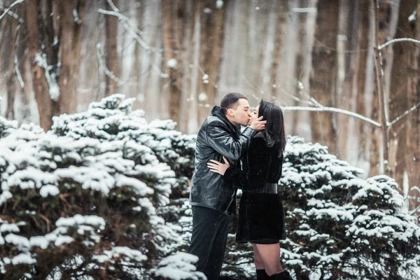 Verliebtes Paar küsst sich im Winterwald — Stockfoto