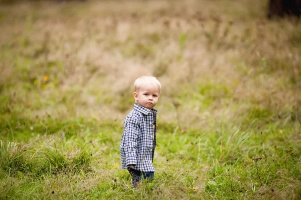Petit garçon sur l'herbe dans la forêt — Photo