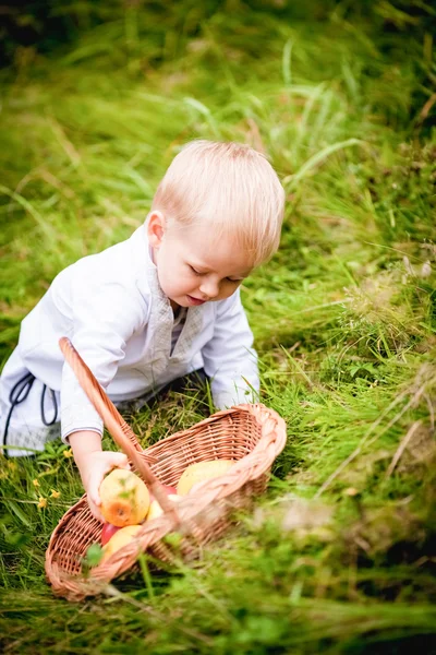 Petit garçon avec un panier et le mange avec des fruits — Photo
