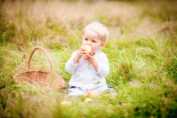 小さな男の子、バスケットにフルーツを食べると — ストック写真