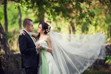 Gelin ve damat doğanın peçe konusunda