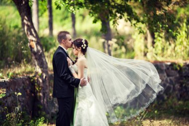Gelin ve damat doğanın peçe konusunda