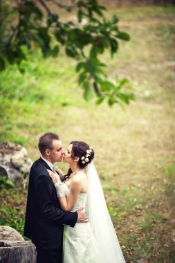 düğün. Gelin ve damat Bahçe