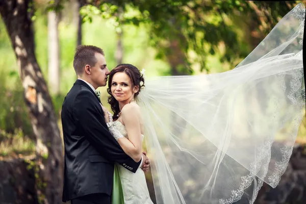 Novia y novio en la naturaleza con velo en desarrollo — Foto de Stock