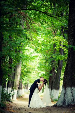 düğün. yeni evliler doğa ağaçlar arasında öpücük