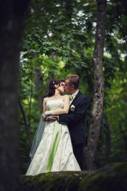 düğün. Orman kucaklayan, genç damat ve gelin evli çift