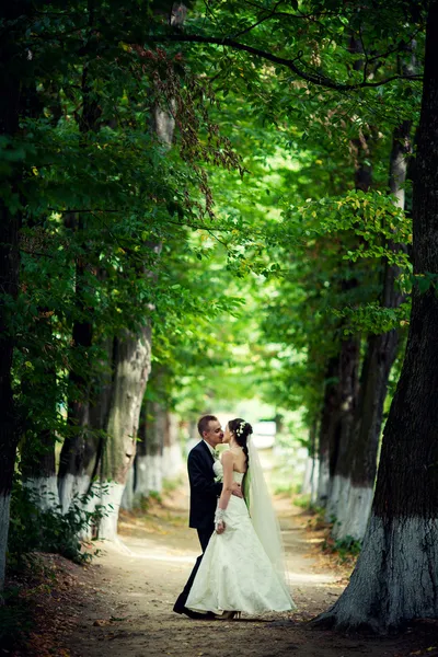 Mariage. les jeunes mariés embrassent entre les arbres dans la nature — Photo