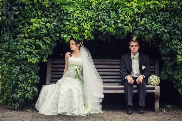 Casamento, o casal se escondeu sob o arco de folhas no banco. n — Fotografia de Stock