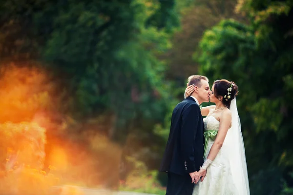 Mariage. couple marié dans la forêt embrassant, jeune marié et mariée — Photo