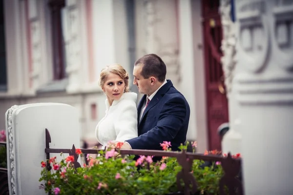 Hochzeit. Braut und Bräutigam umarmen sich auf einem Hintergrund aus Blumen in der Stadt — Stockfoto