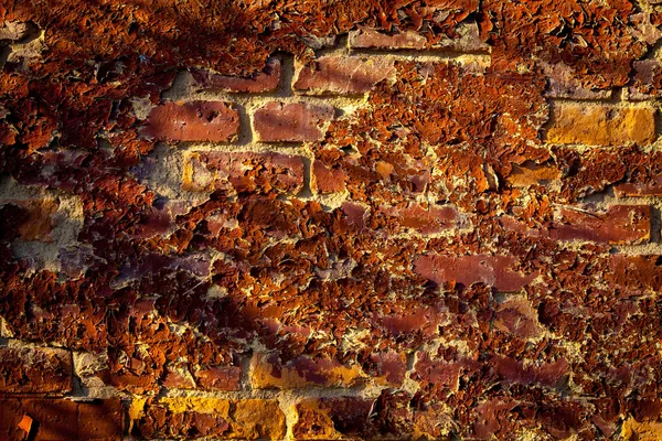 Teksturowanej tło: stare cegły wzór ściana — Zdjęcie stockowe