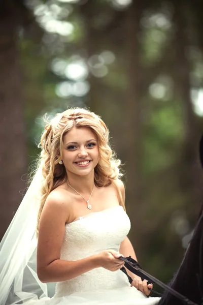 Mariage. Portrait de belle mariée sur un cheval — Photo