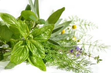 bitki yaprakları ve çiçekleri