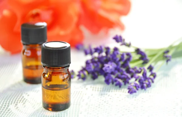 Herbal flowers and essential oils — Stock Photo, Image