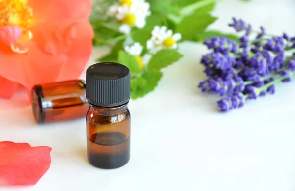 Essential oils for aromatherapy — Stock Photo, Image