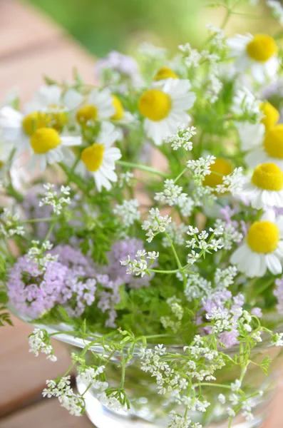 Herbal flowers — Stock Photo, Image
