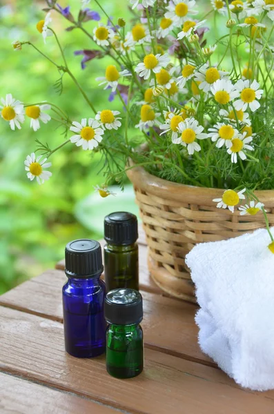 Essential oils for aromatherapy — Stock Photo, Image