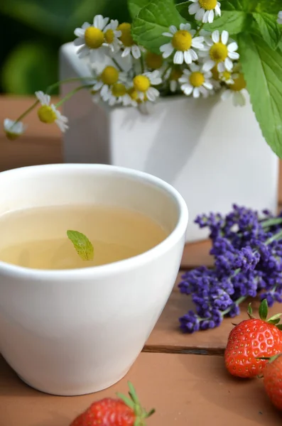 Pausa para el té — Foto de Stock