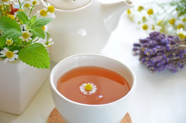 Pausa para el té — Foto de Stock