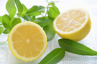 Lemon and herbs clipart