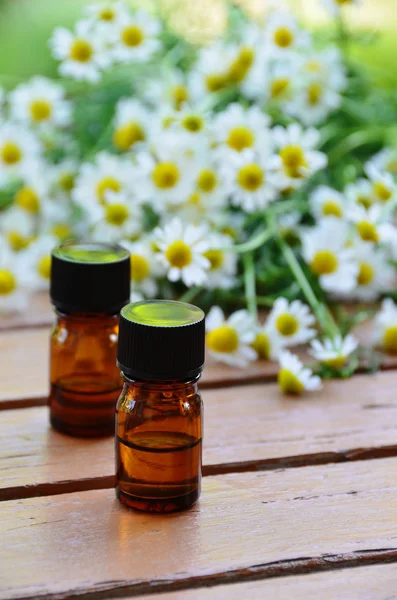 Essential oils with chamomile — Stock Photo, Image