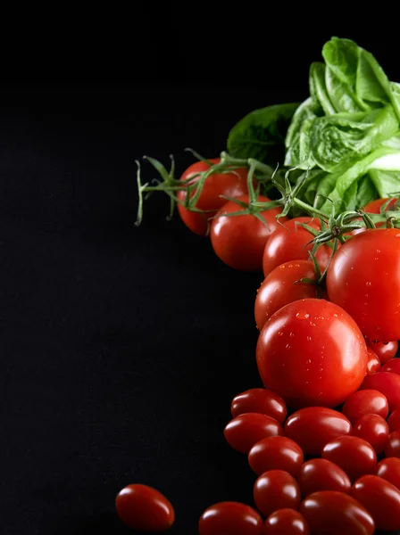 Closeup of tomatoes on the vine — Stock Photo, Image