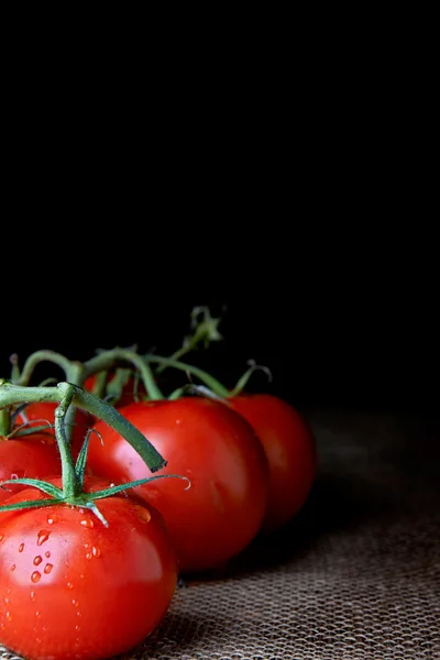 Closeup of tomatoes on the vine — Stock Photo, Image