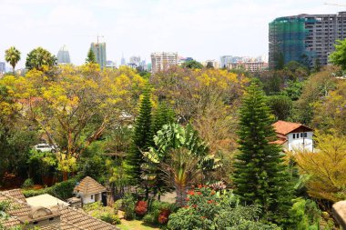 Kenya 'nın başkenti Nairobi' deki yeşil bitki örtüsü