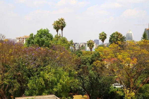 Den Gröna Vegetationen Huvudstaden Nairobi Kenya — Stockfoto