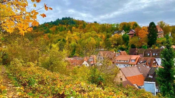 Вид Село Хеппенгейм Бергштрассе Німеччина — стокове фото