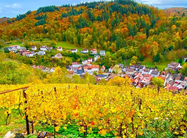 Виноградник Бергштрассе Німеччина — стокове фото