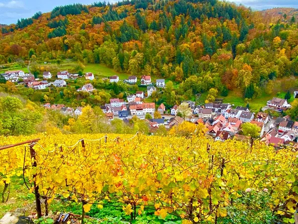 Vineyard Region Bergstrasse Germany — Stock Photo, Image