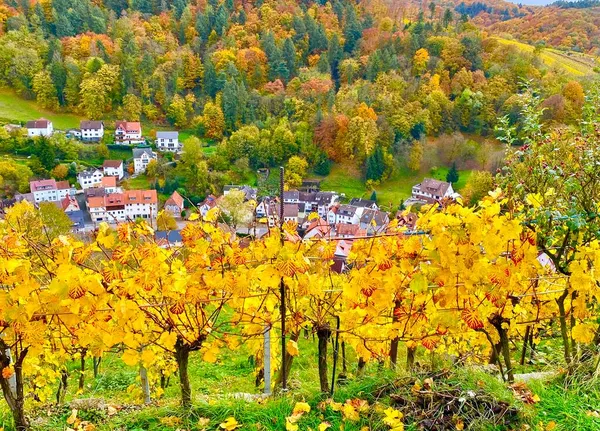 Vinice Regionu Bergstrasse Německu — Stock fotografie