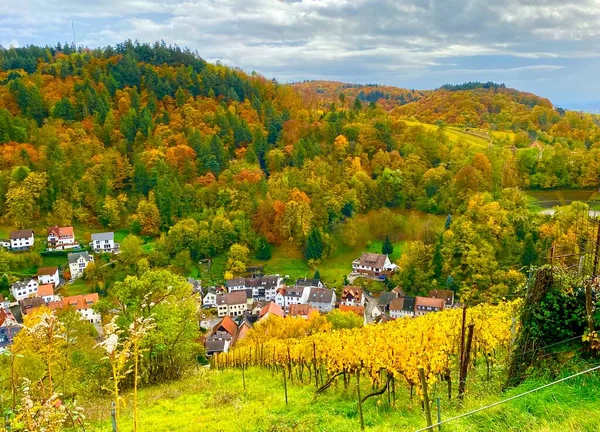 Pohled Vesnici Heppenheim Regionu Bergstrasse Německu — Stock fotografie